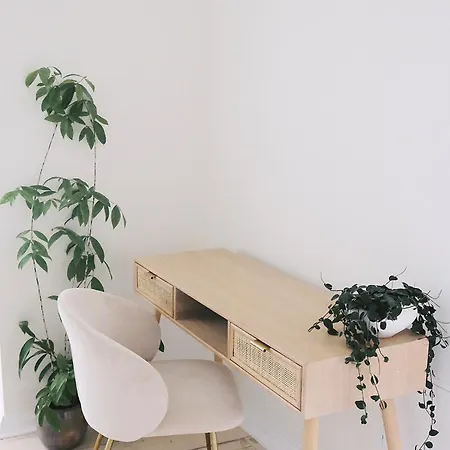 Avar Ja Hubane Stuudiokorter Kesklinnas Daire *